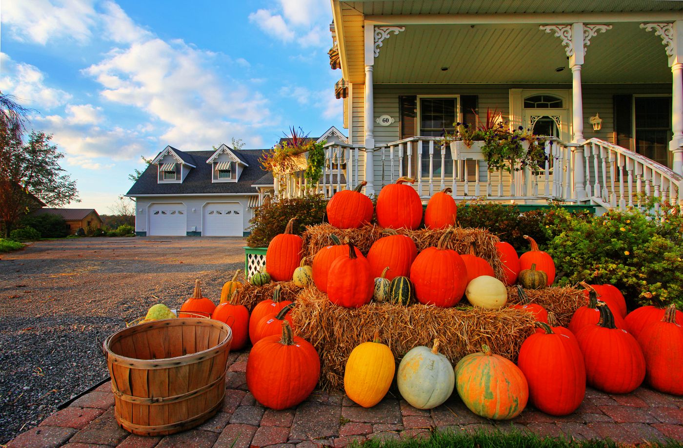 House with a lot of pumpkins in front of it