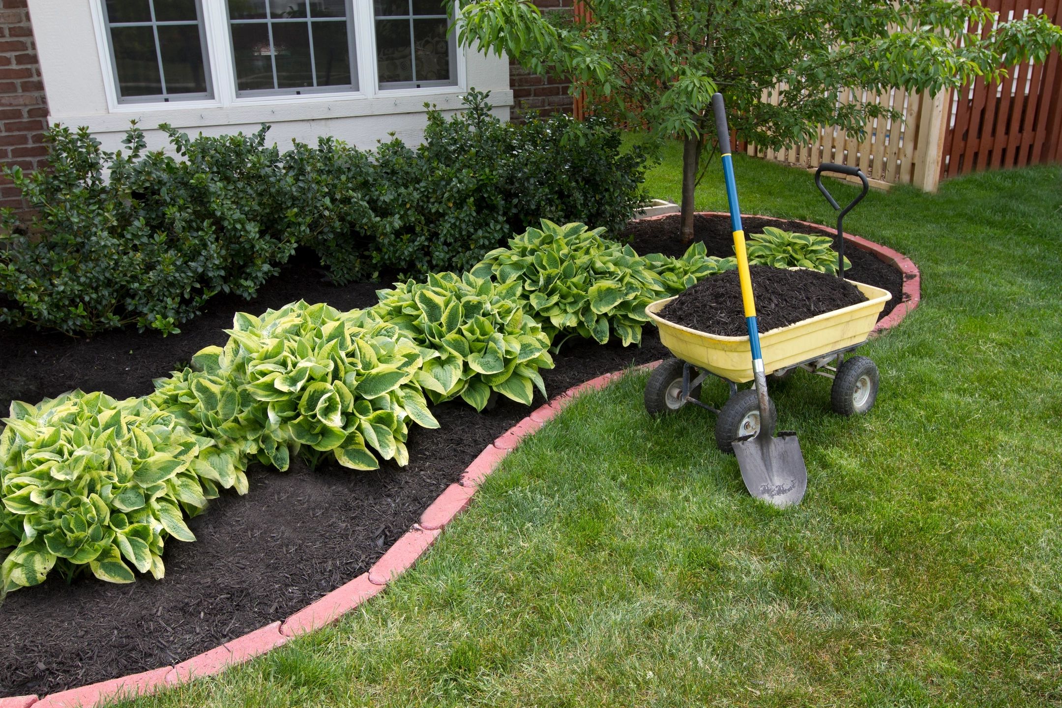 Fresh flower bed with a wheel barrow full of dirt.